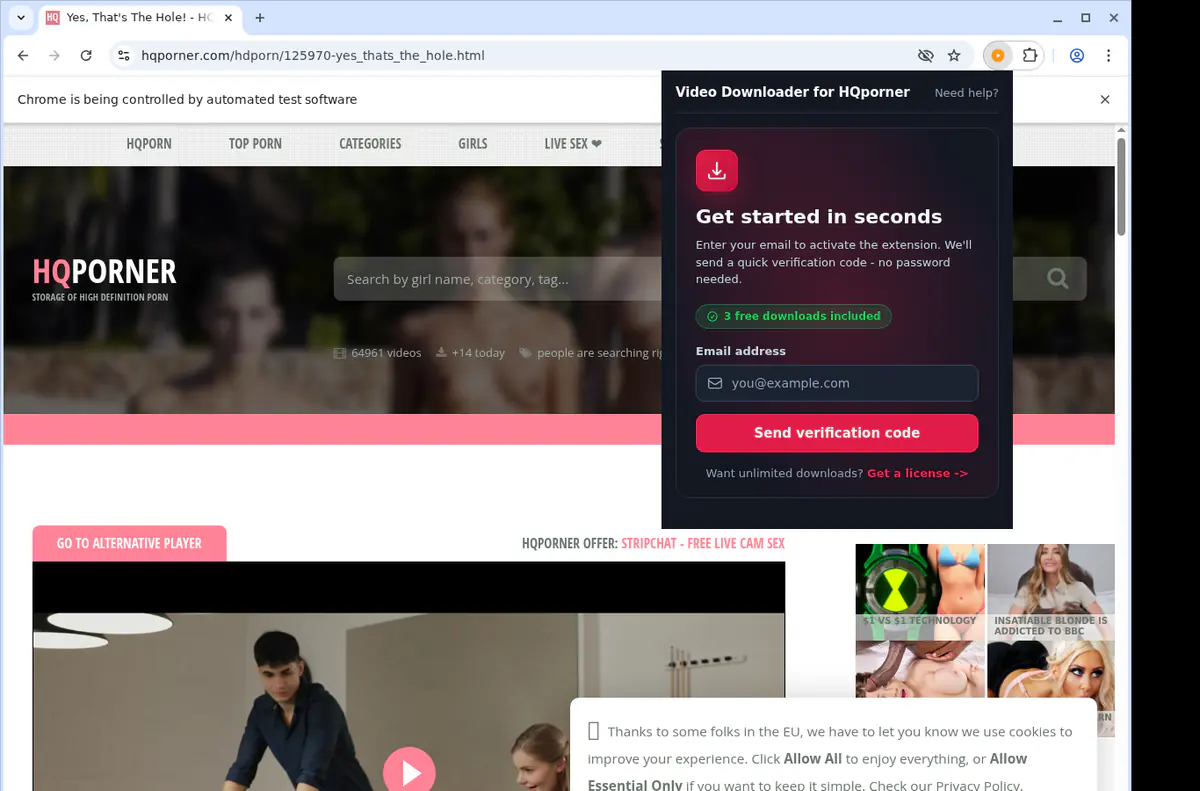 Hqporner Video Downloader browser extension screenshot 5